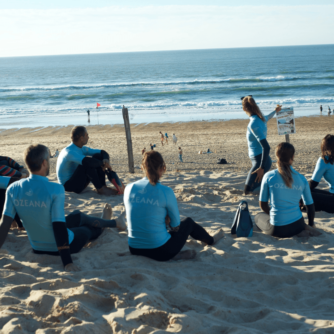 Initiation à l'océan théorie Ozeana